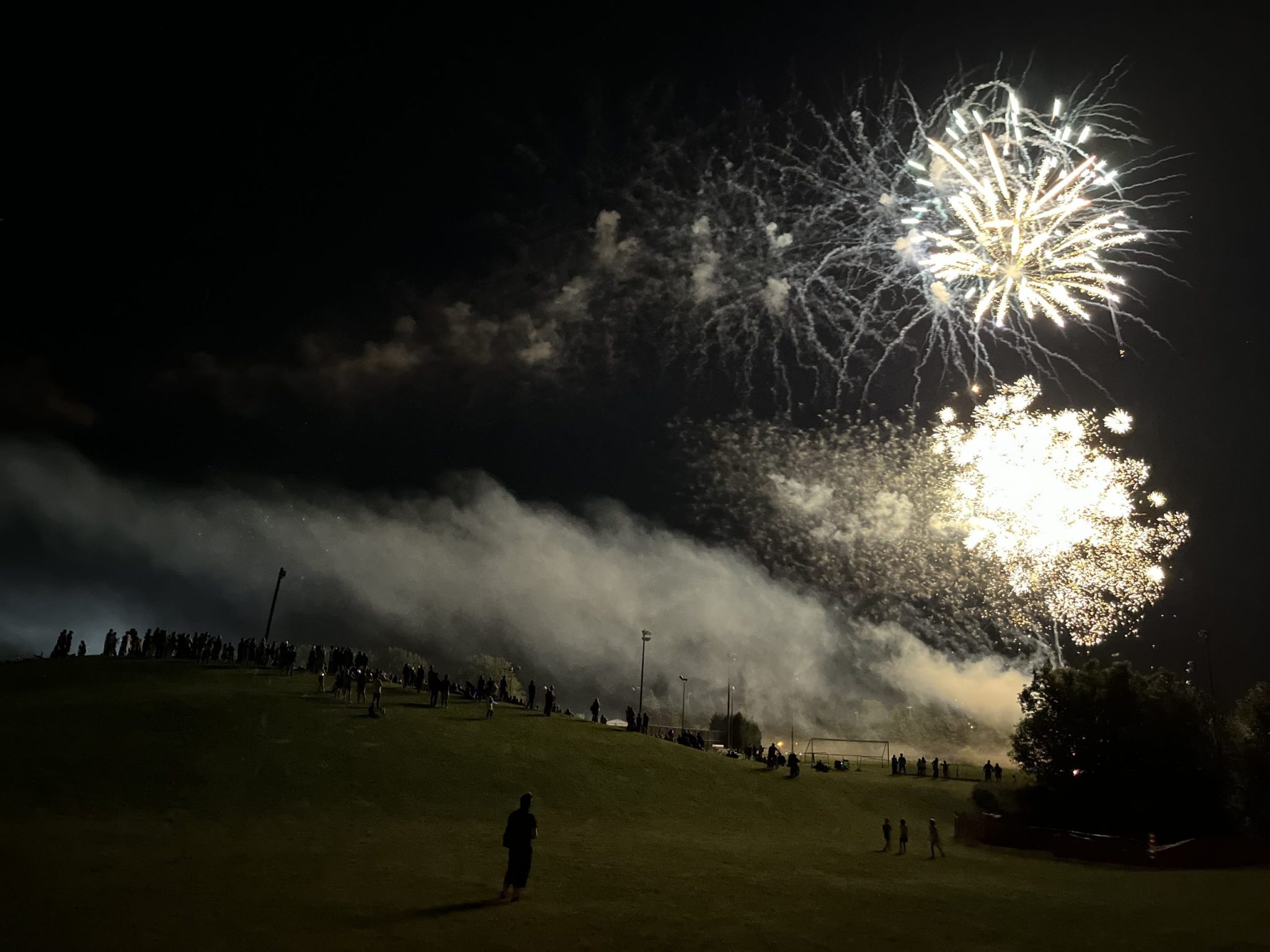 Interdire ou pas les feux d'artifice - Les Versants