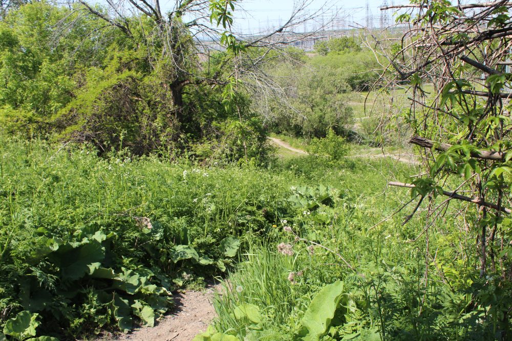 SainteJulie, une destination de vélo de Montagne qui va reprendre